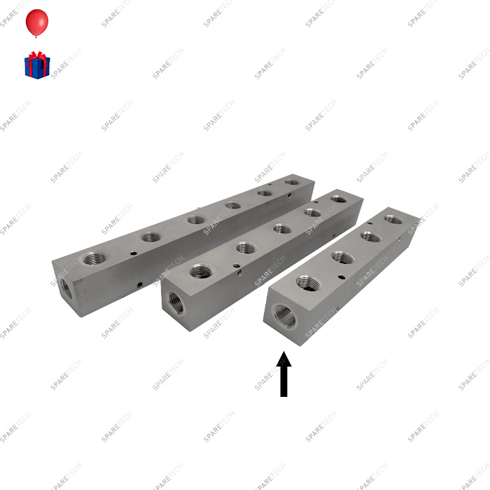 Stainless steel manifold block 4 output+2 input F1/2''