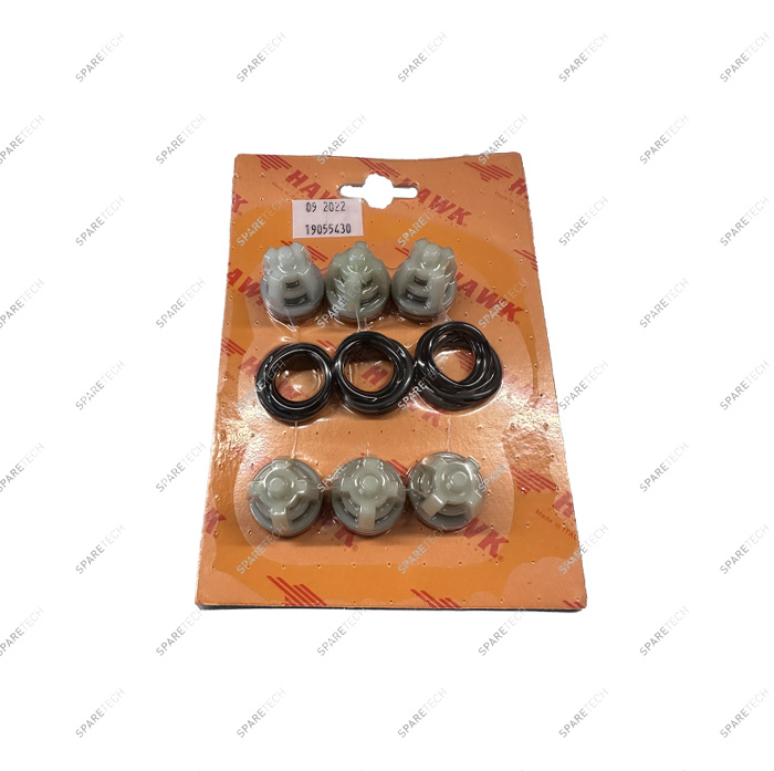 Valves kit for pump HAWK NMT (6 pieces) 