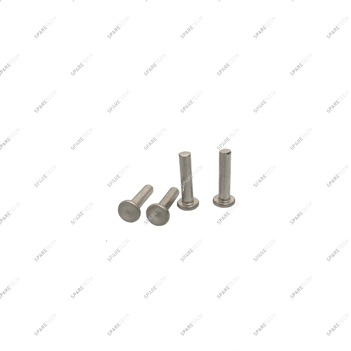 Aluminium nail for fixing brush elements