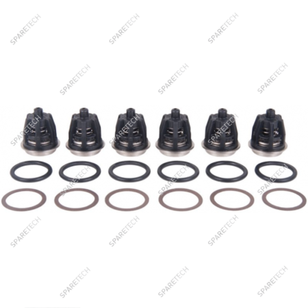 Kit N°201, 6 valves for HT4715 pumps