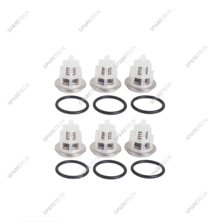 Kit N°169,  6 valves for pumps W2141